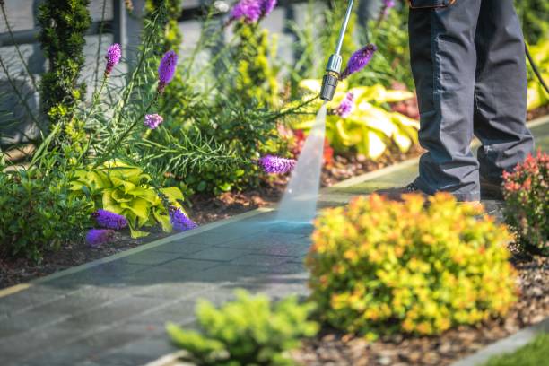 Best Animal Enclosure Cleaning  in Lakin, KS